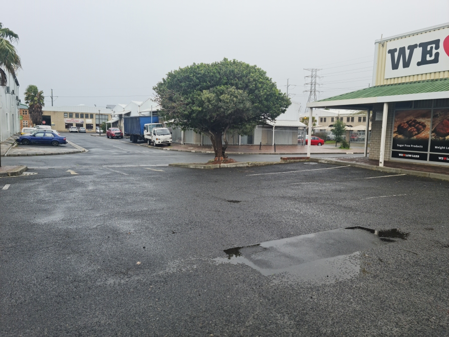 To Let commercial Property for Rent in Gants Plaza Western Cape